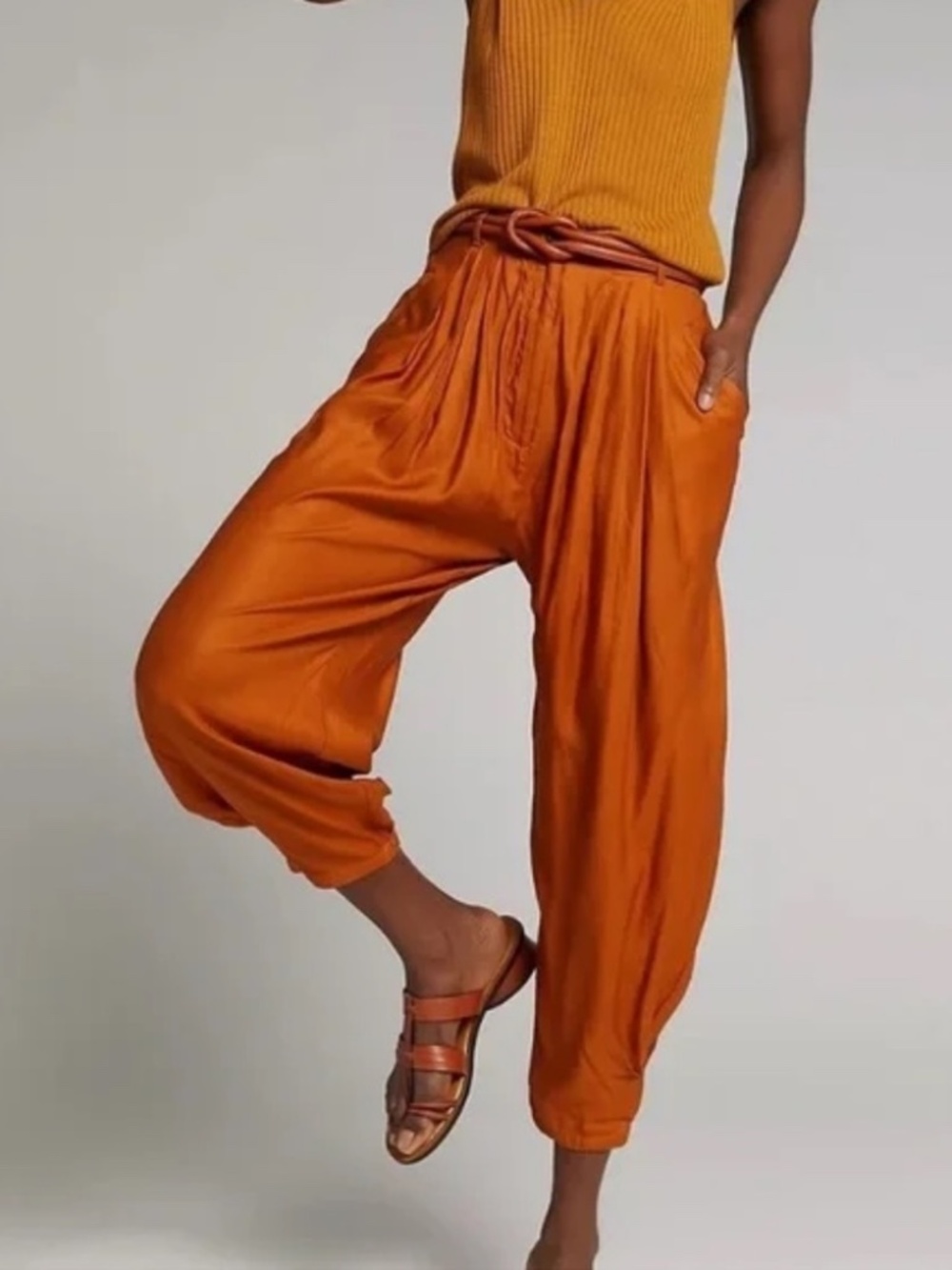 Anthropologie Astrid Pleated Harem Pants - Picture 2 of 16